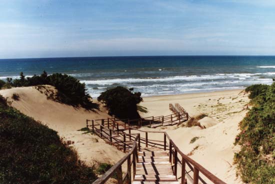 sabaudia-spiaggia-dune