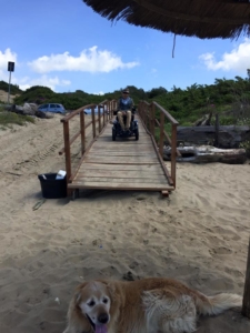 ghiro spiaggia